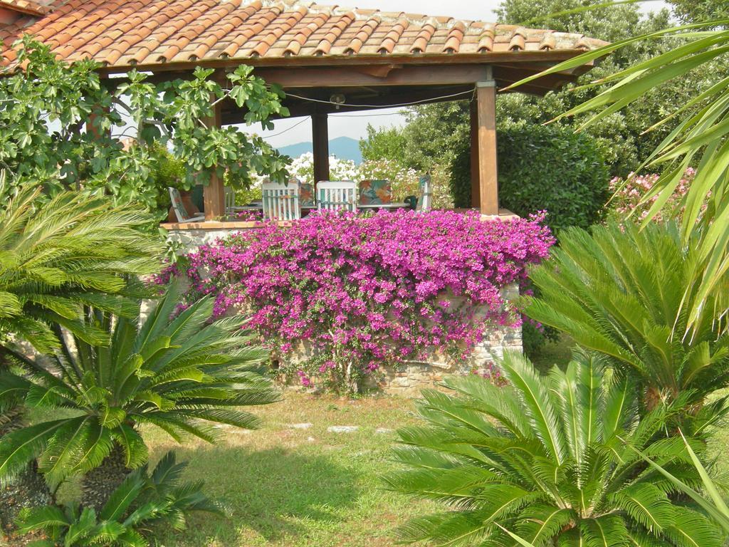 B&B Le Palme Ameglia Dış mekan fotoğraf