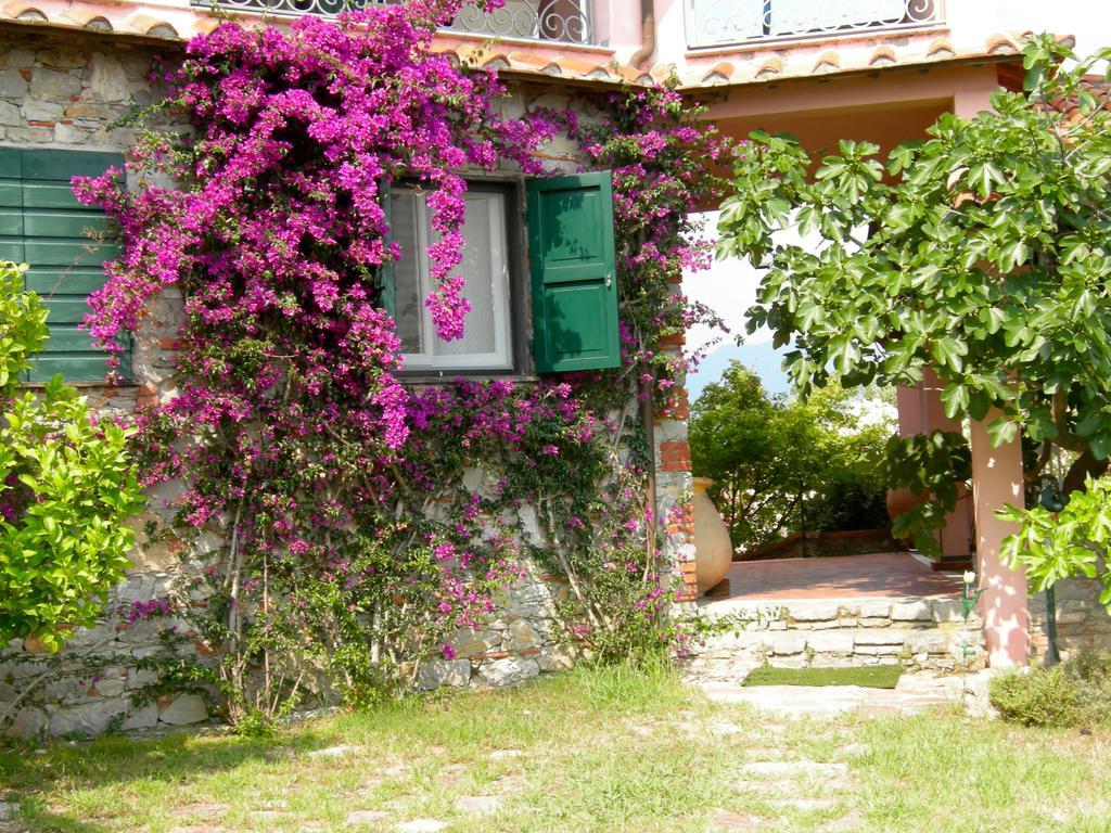 B&B Le Palme Ameglia Dış mekan fotoğraf
